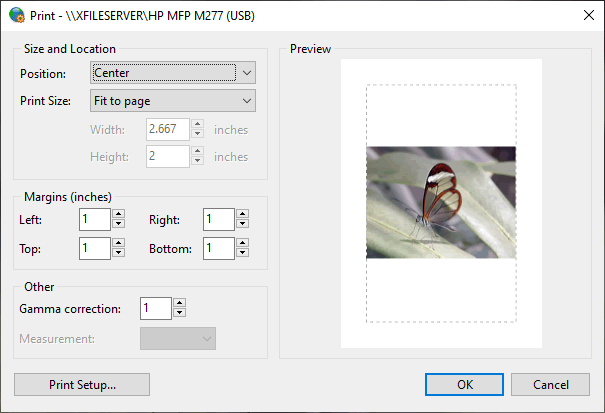 Preview of an image being printed